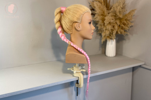 Braided ponytail with extensions