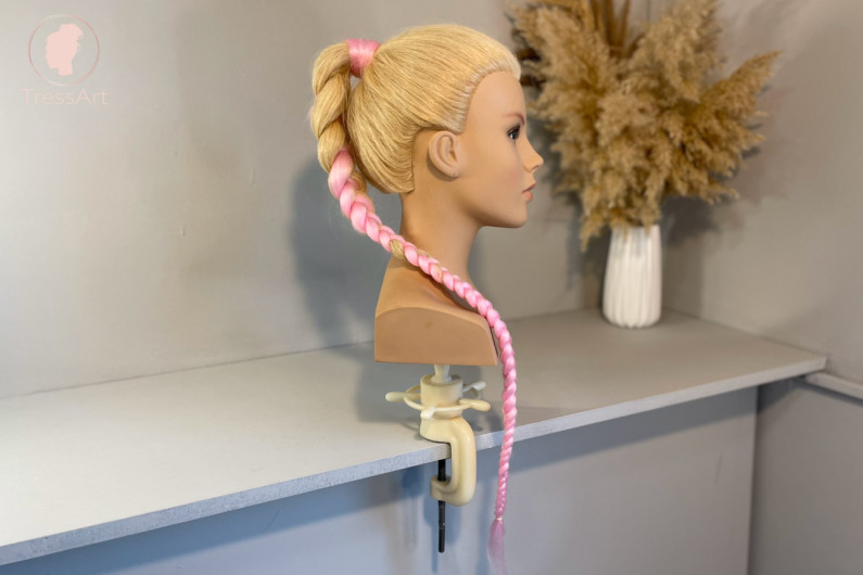 Image of Braided ponytail with extensions course