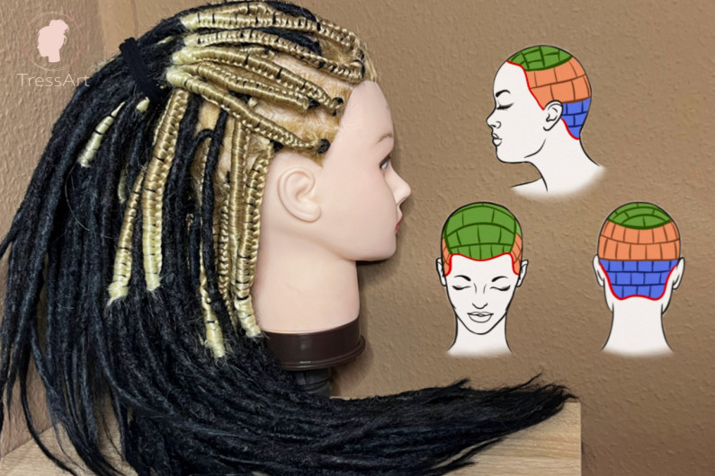 Image of Hair sectioning for braided-in synthetic dreadlocks course